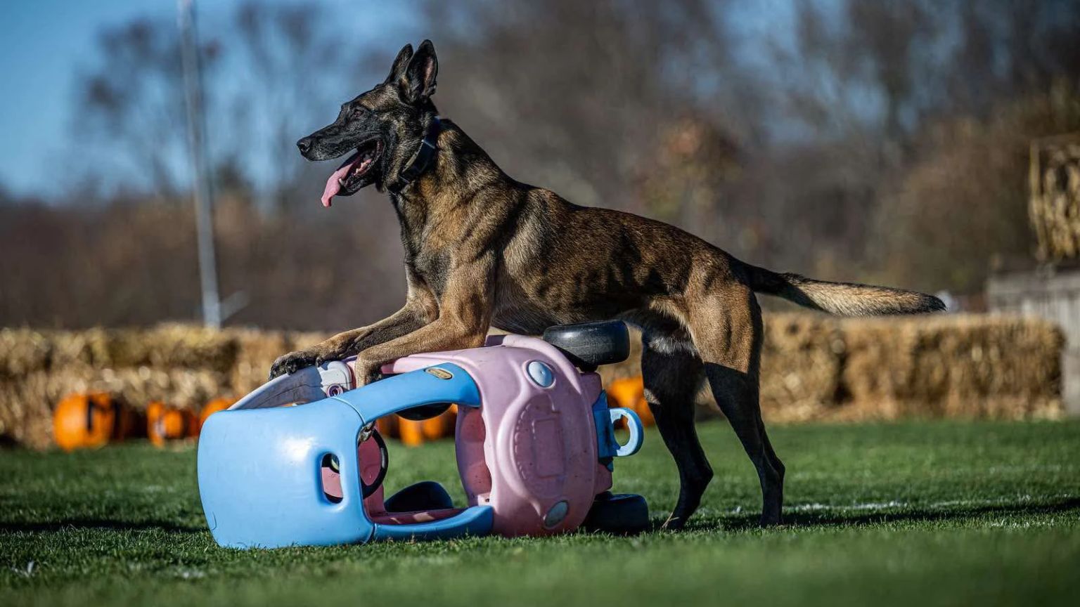 Guarding the object.